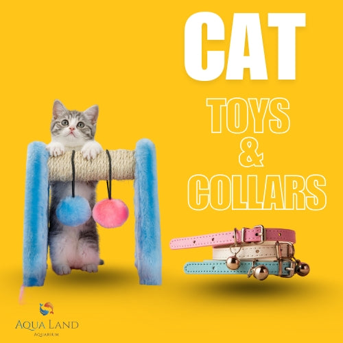 Best Car Toys & Cat Collars in Dubai, UAE | Shop Now