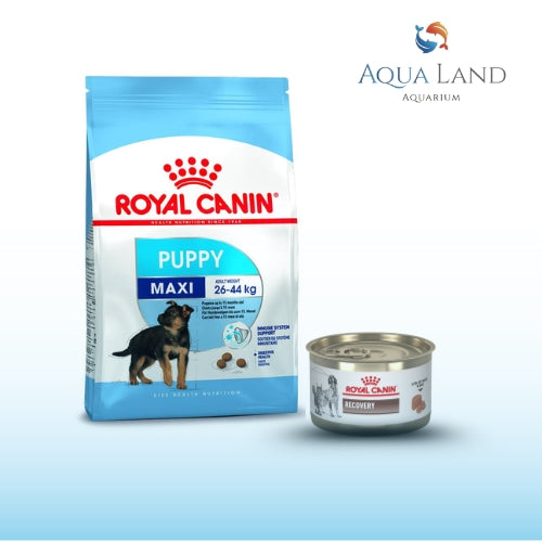 Best Dog Food & Dog Treats Online at Best Price in Dubai | Aqualand