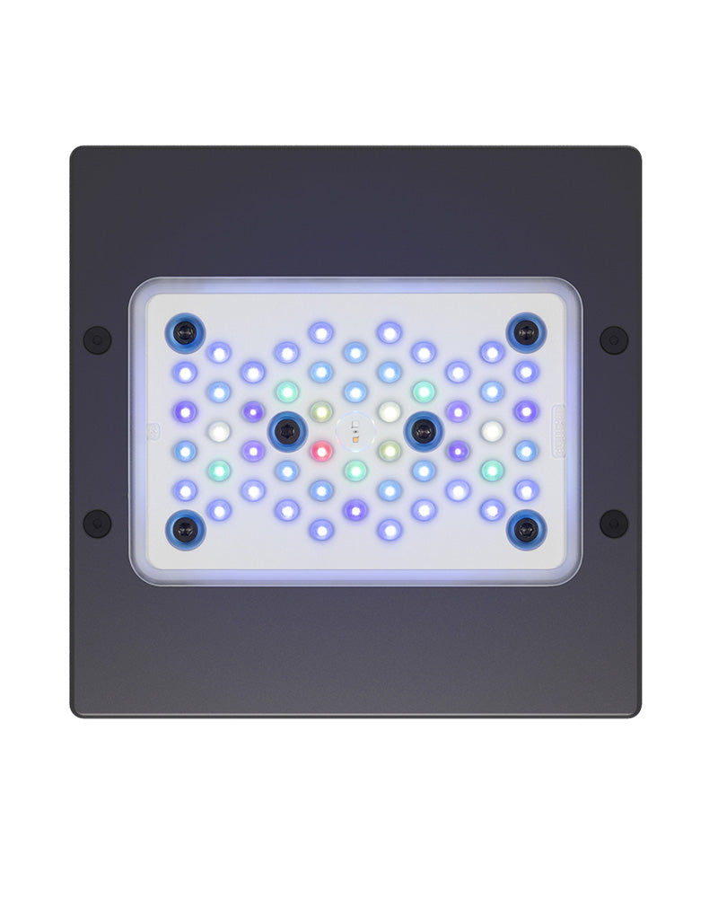 Radion XR15 G6 Blue LED Light