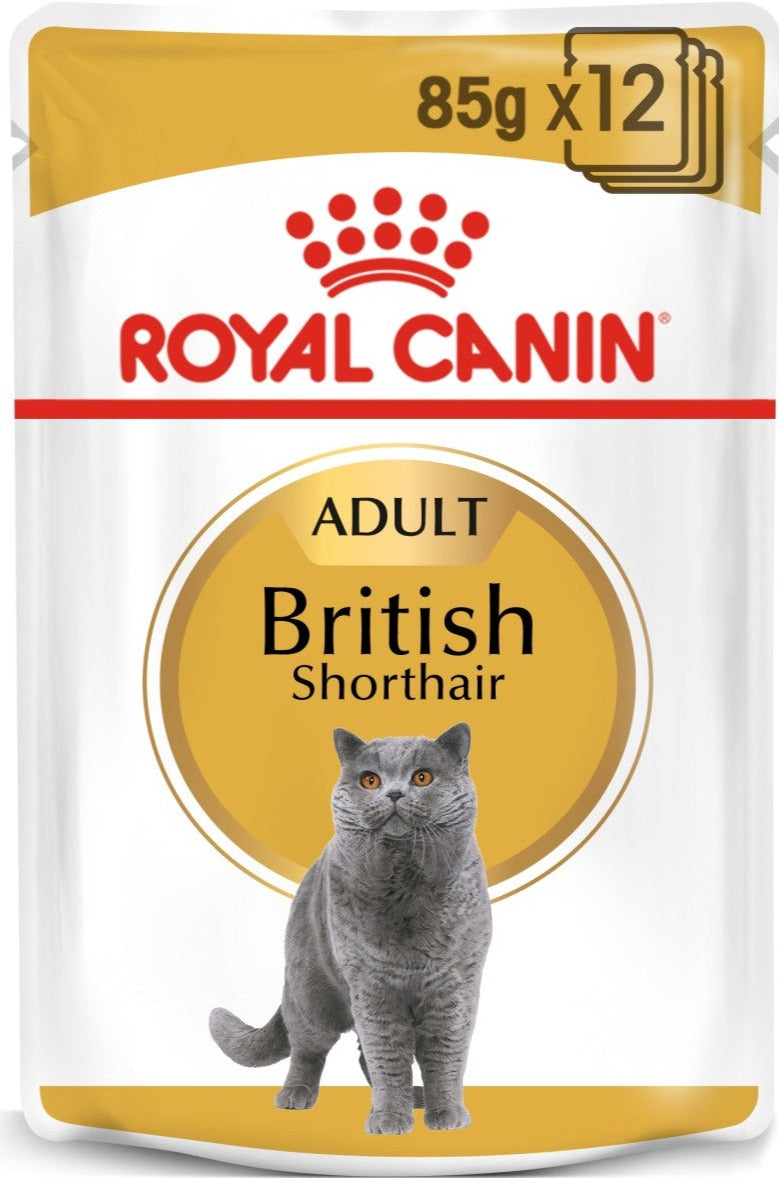 Royal Canin Feline Breed Nutrition British Shorthair (WET FOOD - Pouches)