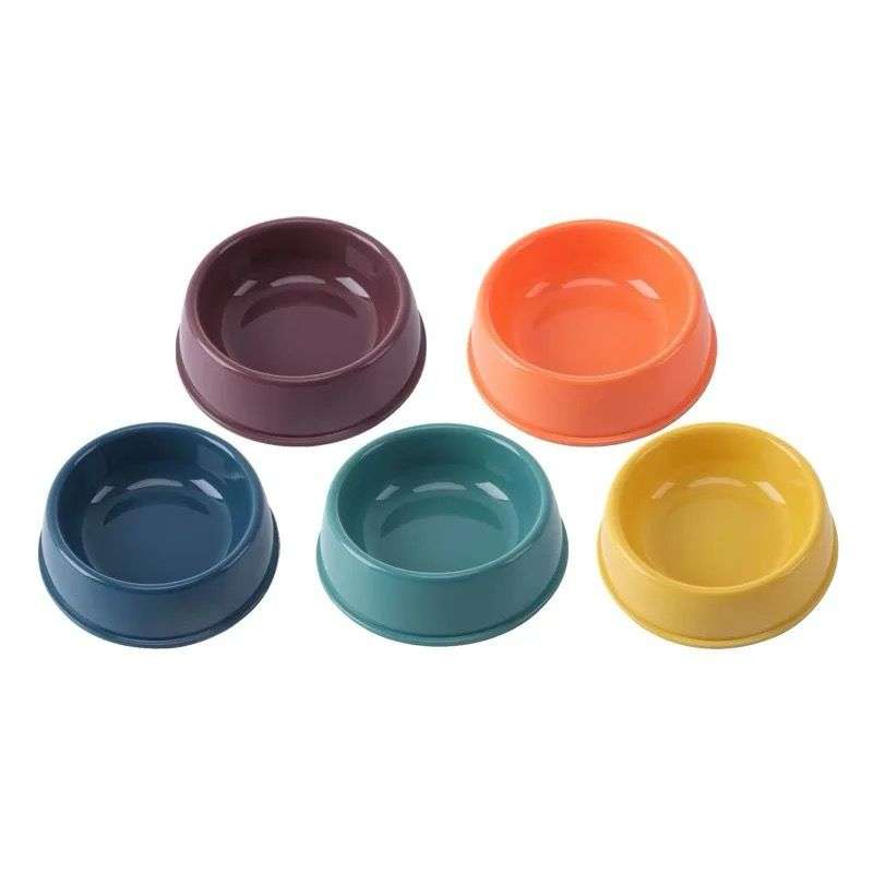 SAAS Single Feeding Bowl