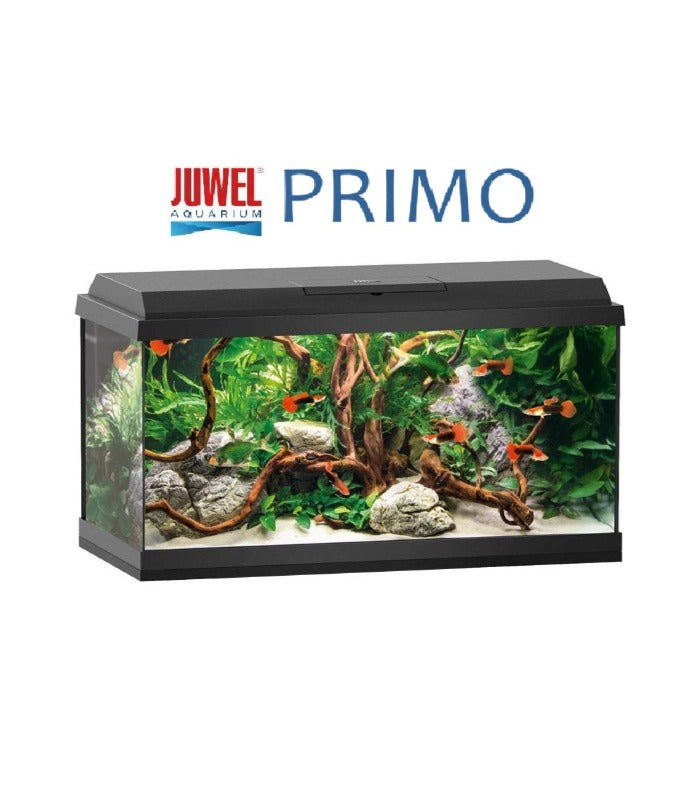 Juwel Primo 60 LED - Black