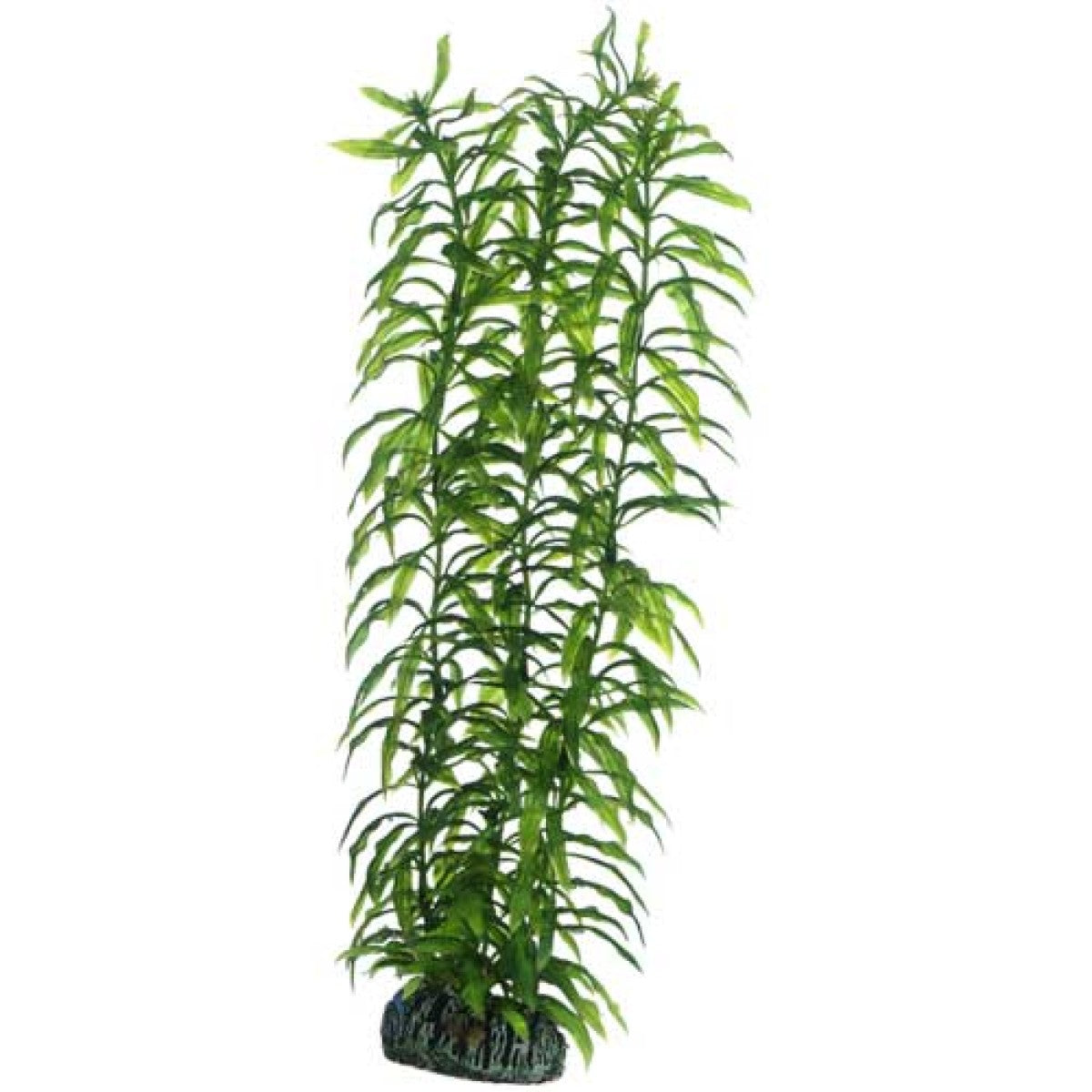 Aquarium Artificial plant - Heteranthera large