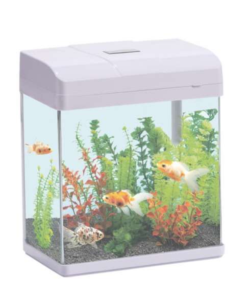 Perfect Desktop Aquarium SS