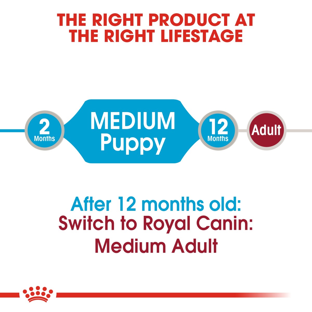 Size Health Nutrition Medium Puppy