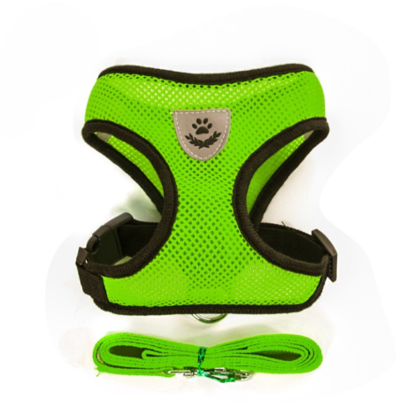 Petbroo Harness With Leash