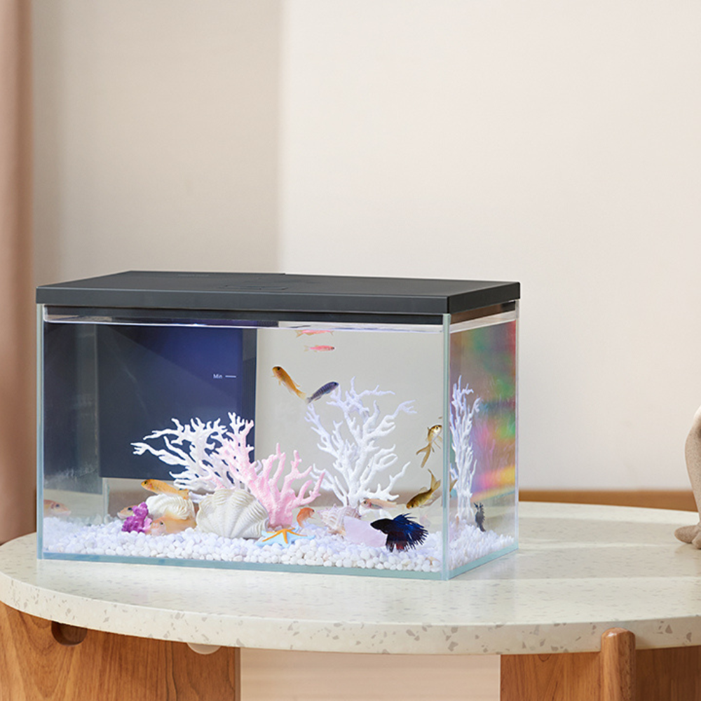 Boyu Pawgether GR-1s WIFI Desktop Aquarium 380x210x240mm