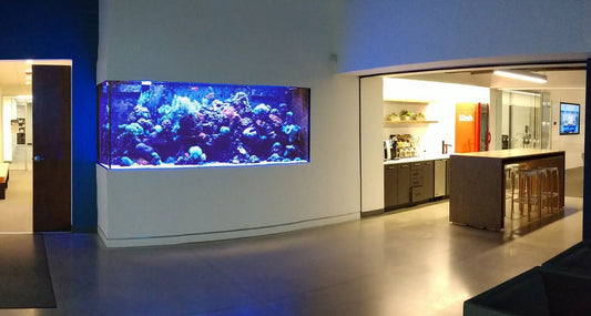 Aquarium installation 2