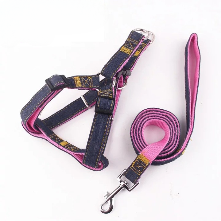 Harness With Leash 2.0 x 120cm