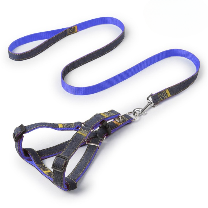 Harness With Leash 2.0 x 120cm