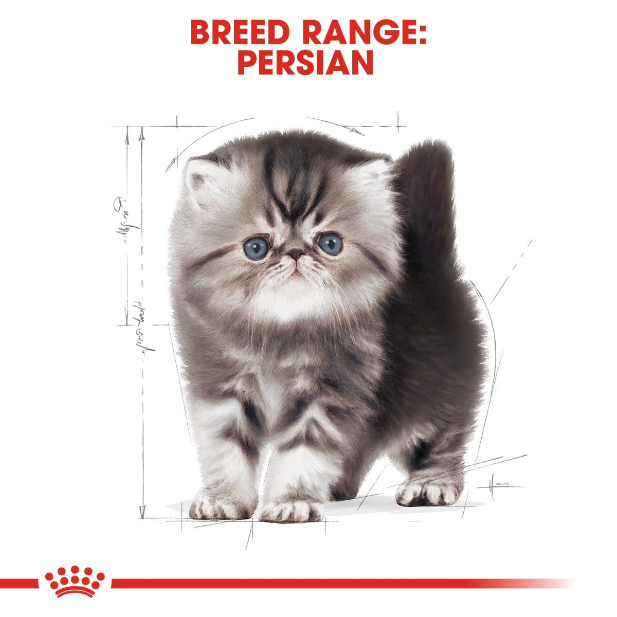 Royal Canin Feline Breed Nutrition Persian Kitten