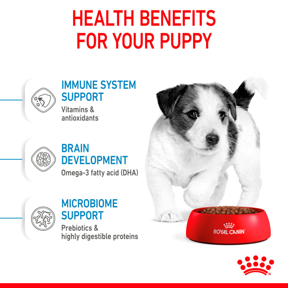 Royal Canin Mini Puppy Dry Food