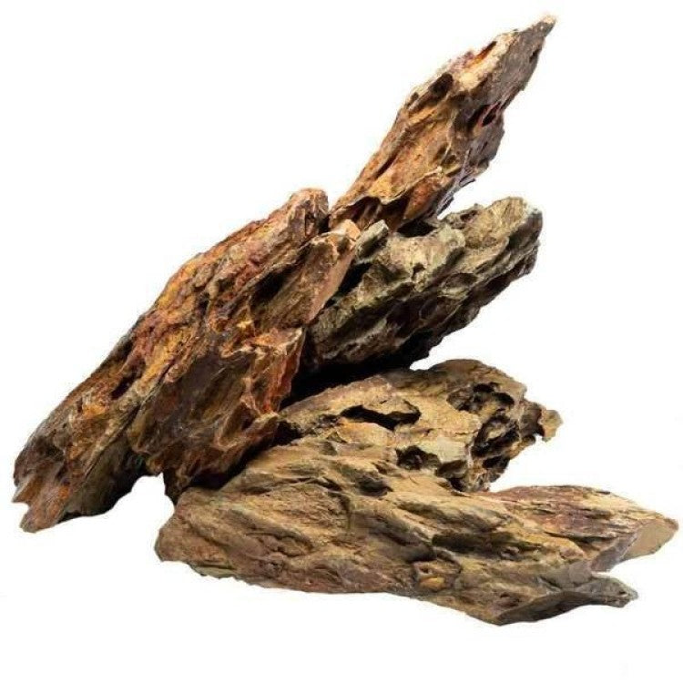 Alveolate Aquarium Rock / Pine Rock 1Kg