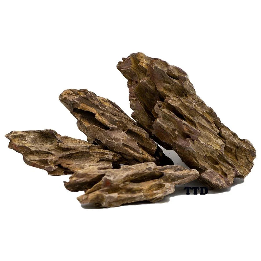 Alveolate Aquarium Rock / Pine Rock 1Kg