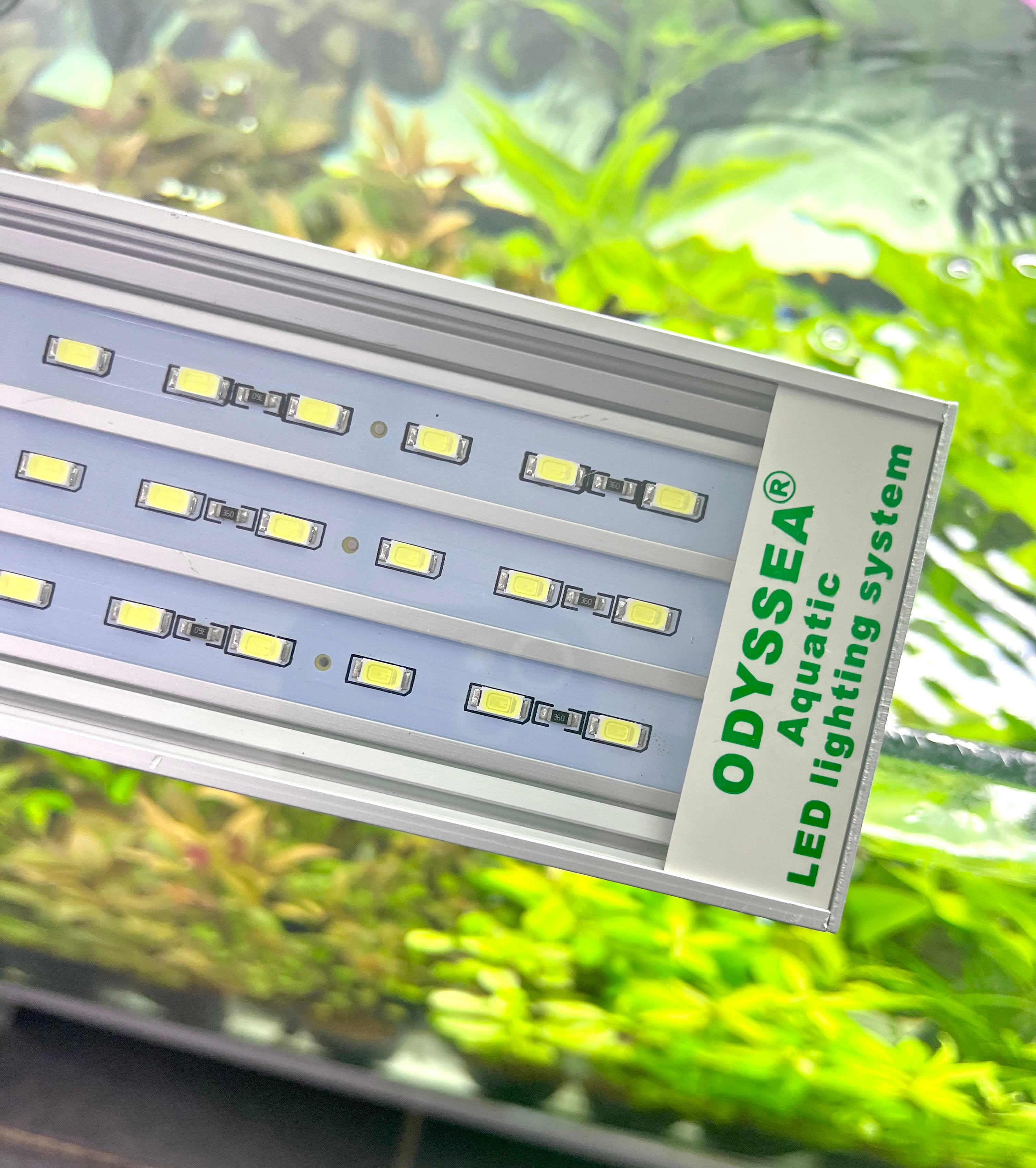Odyssea Slim X LED Light For Fish Tanks