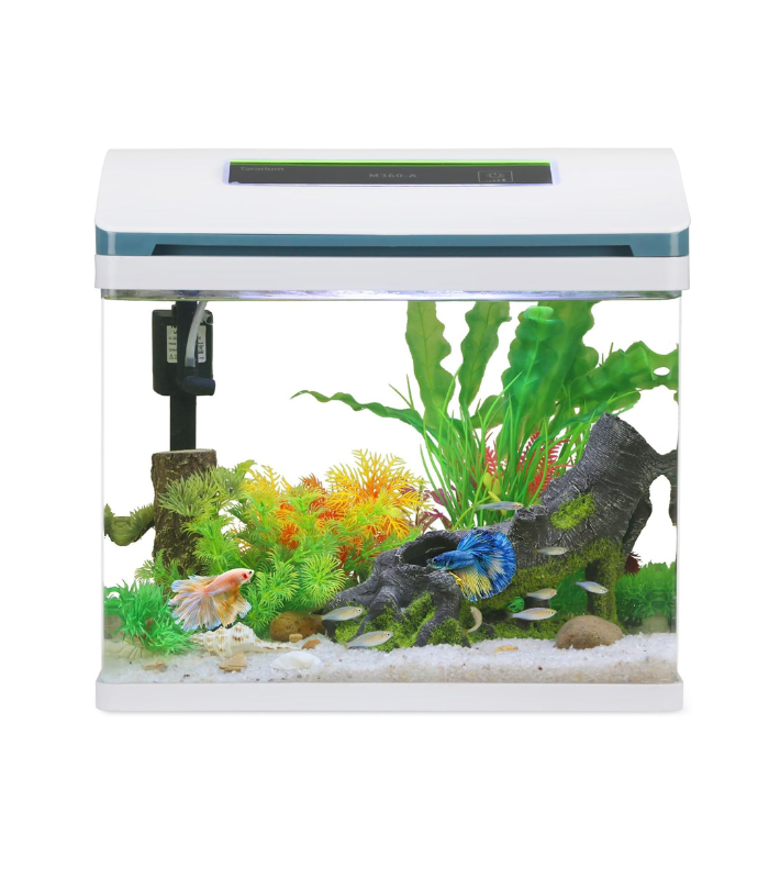 Desk Top Aquarium with Multi color lighting 36cm